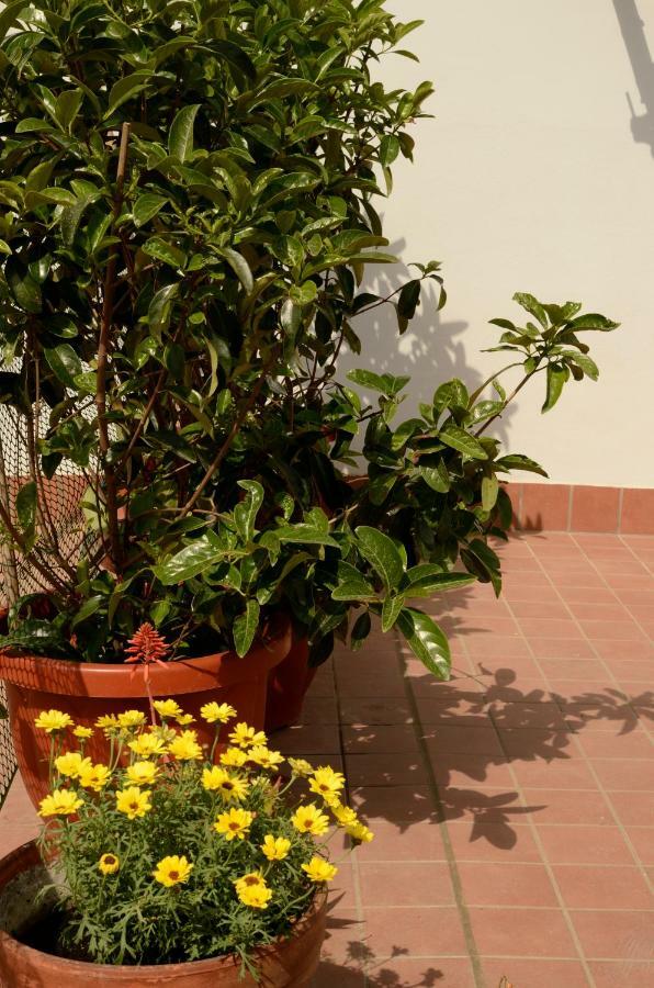 Terrazza Eurialo Daire Napoli Dış mekan fotoğraf